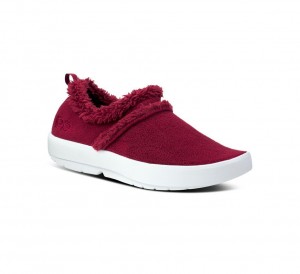 Oofos Oocoozie Low Pantoffels Dames Rood | Nederland-72803PIZQ