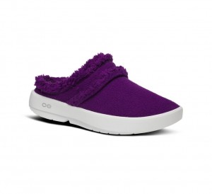 Oofos Oocoozie Mule Pantoffels Dames Paars | Nederland-20386PNEG