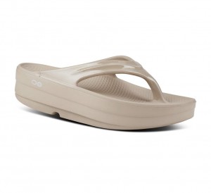 Oofos Oomega Oolala Slippers Dames Bruin Grijs | Nederland-09867VEXN