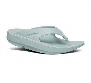 Oofos Ooriginal Slippers Dames Lichtblauw | Nederland-09742KWUN